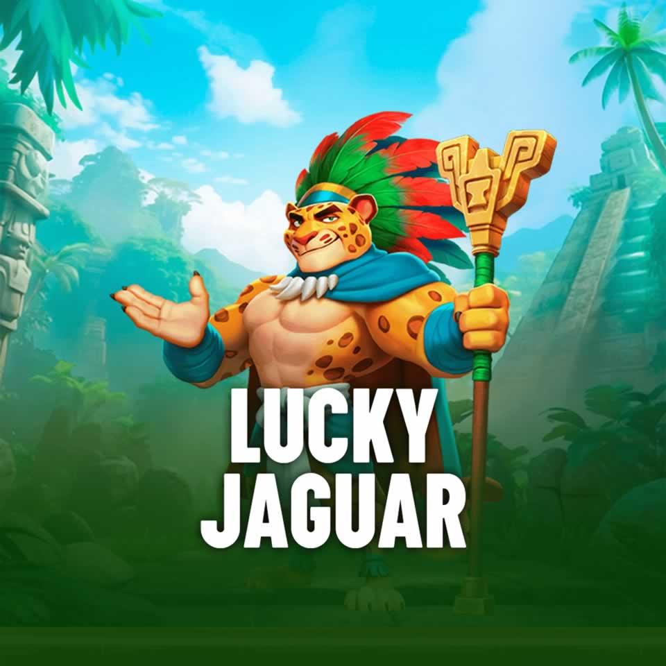 336bet